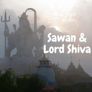 Read more about the article Sawan – what and when should you do these 10 things, few will surprise you !